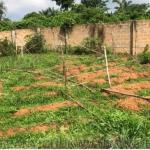 Land for Sell at Nkwelle