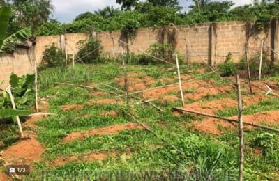 Land for Sell at Nkwelle